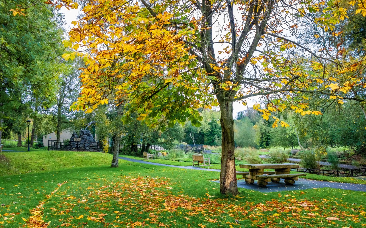 tables in the Country Park